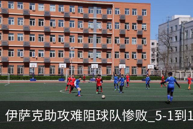 伊萨克助攻难阻球队惨败 5-1到1-5瑞典两战冰火两重天